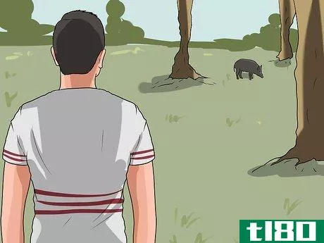 Image titled Call the Hogs Step 5