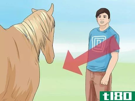 Image titled Approach Your Horse Step 4