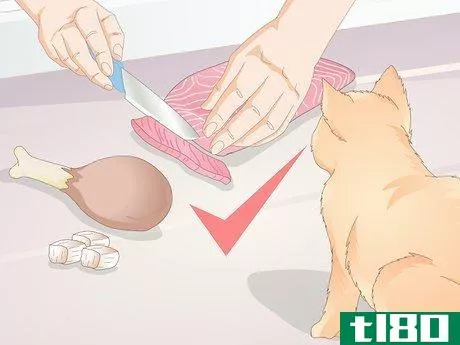 Image titled Buy Pet Training Supplies Step 16