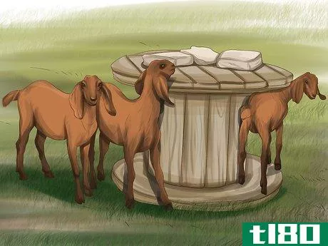 Image titled Care for Nubian Goats Step 4