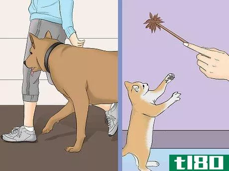 Image titled Be a Good Pet Owner Step 15