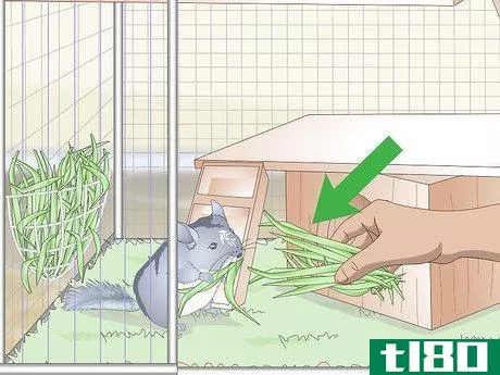 Image titled Care for Chinchillas Step 10
