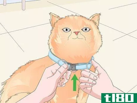 Image titled Buy a Collar for Your Cat Step 7