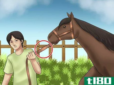 Image titled Catch a Horse Step 13