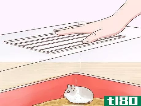 Image titled Care for Winter White Dwarf Hamsters Step 17