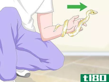 Image titled Build a Relationship with Your Snake Step 9