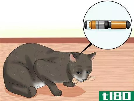 Image titled Care for Indoor Cats Step 18