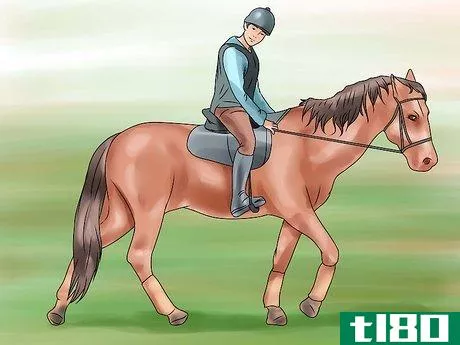 如何骑马慢跑(canter with your horse)