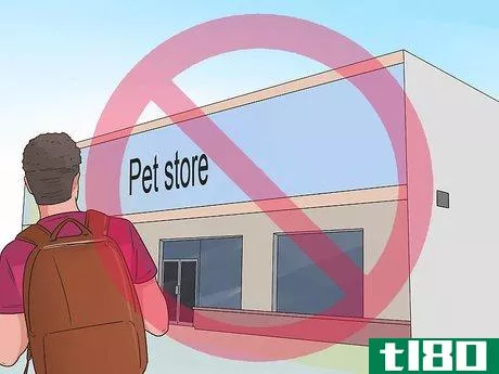 Image titled Buy a Pomeranian Step 5