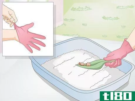 Image titled Avoid Germs when Cleaning a Litter Box Step 2