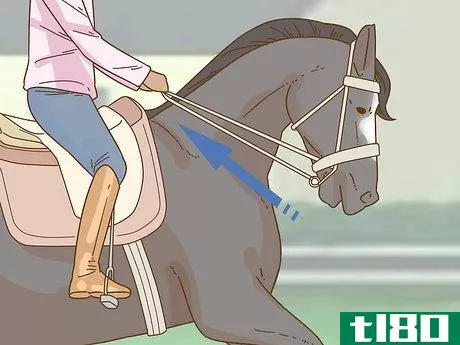 Image titled Calm Your Horse Down Quickly Step 6