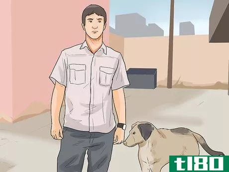 Image titled Catch a Stray Dog Step 1
