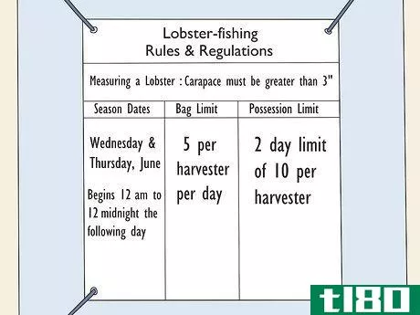 Image titled Catch Lobsters Step 4