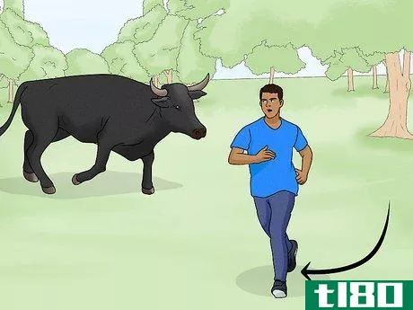 Image titled Avoid or Escape a Bull Step 8