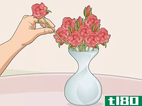 如何摆放花瓶(arrange flowers in a vase)
