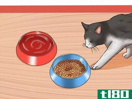 Image titled Care for a Cat with Feline Leukemia Step 8