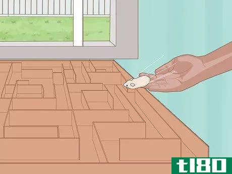 Image titled Build a Hamster Maze Step 18