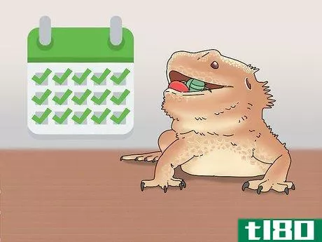 Image titled Buy a Bearded Dragon Step 10