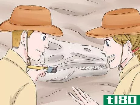 Image titled Become an Expert on Dinosaurs Step 13