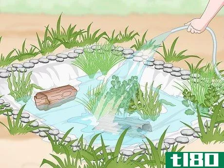 Image titled Build a Frog Pond Step 15