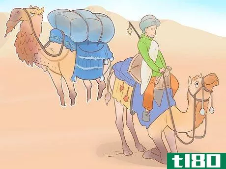Image titled Buy a Camel Step 8