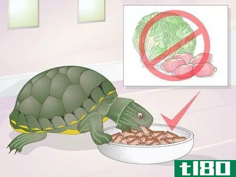 Image titled Apply Medication to a Turtle's Eyes Step 10