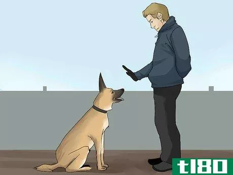Image titled Avoid Liability Issues in K9 Police Units Step 5