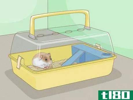 Image titled Carry a Hamster Step 11