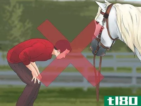 Image titled Be Safe Around Horses Step 15