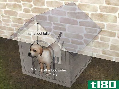 如何建造一个简单的狗屋(build a simple dog house)