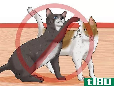 Image titled Care for a Cat with Feline Leukemia Step 15