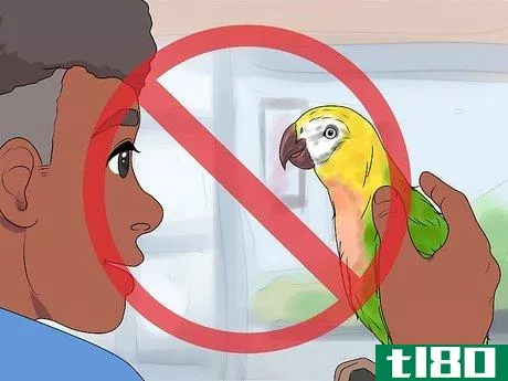 Image titled Care for a Molting Parrot Step 3
