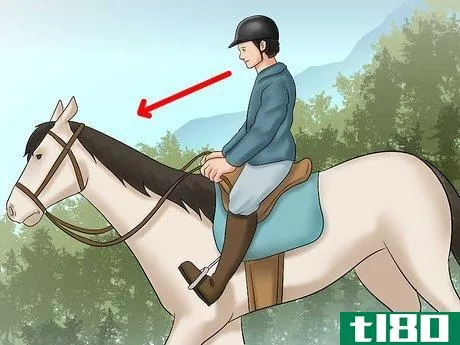Image titled Avoid Soreness During Your Horse Riding Training Step 4