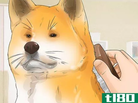 Image titled Care for an Akita Inu Dog Step 5