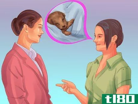 Image titled Buy Already Trained Dogs Step 3