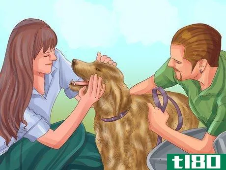 Image titled Be a Responsible Dog Owner Step 15