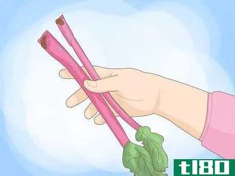 Image titled Buy Rhubarb Step 3