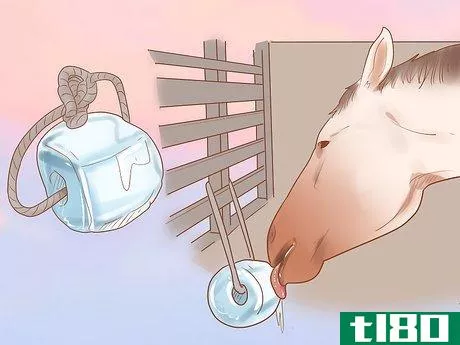 Image titled Care for a Pregnant Mare Step 10