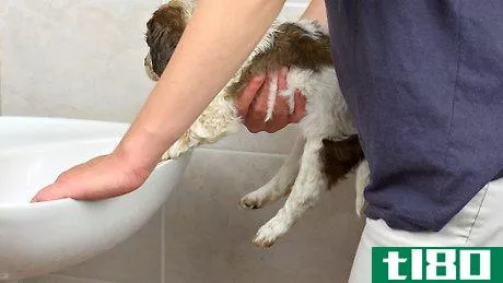 Image titled Bathe a Puppy for the First Time Step 10