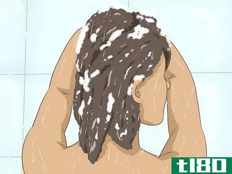 Image titled Braid African American Hair Step 1