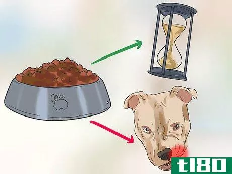 Image titled Change Dog Food Step 5