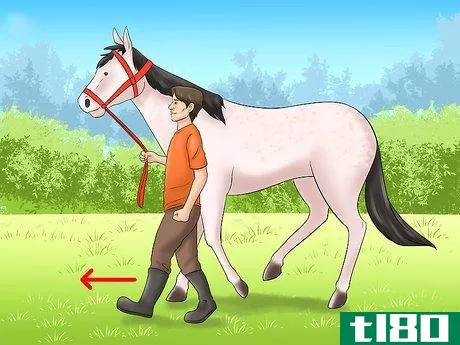 Image titled Calm Your Hot Horse Step 2