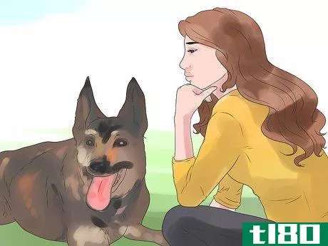 Image titled Bond With Your Dog Step 14