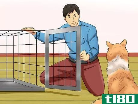 Image titled Care for Shelties Step 20