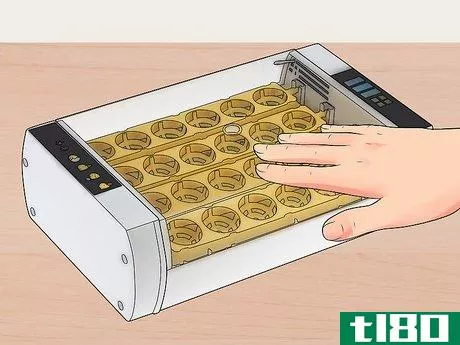 Image titled Buy an Egg Incubator Step 9