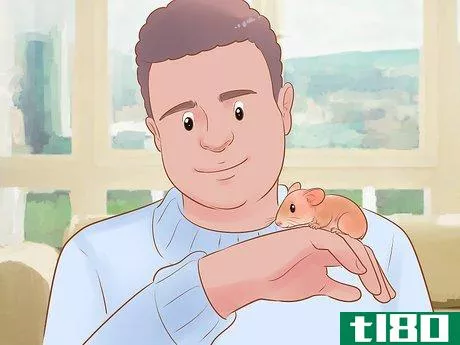 Image titled Avoid Frightening Your Pet Mouse Step 8