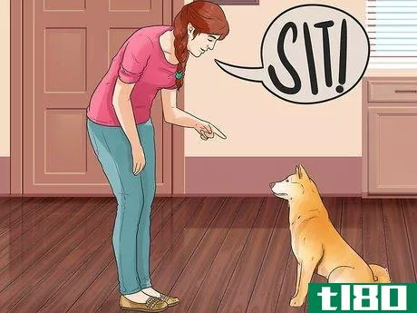 Image titled Care for an Akita Inu Dog Step 9