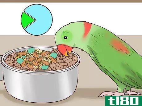 Image titled Care for an Eclectus Parrot Step 9