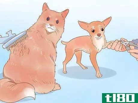 Image titled Be a Responsible Pet Parent Step 15