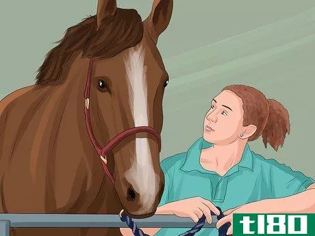 Image titled Get More Confident Around Horses Step 7